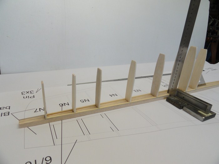 DSC02975 (Copier).JPG