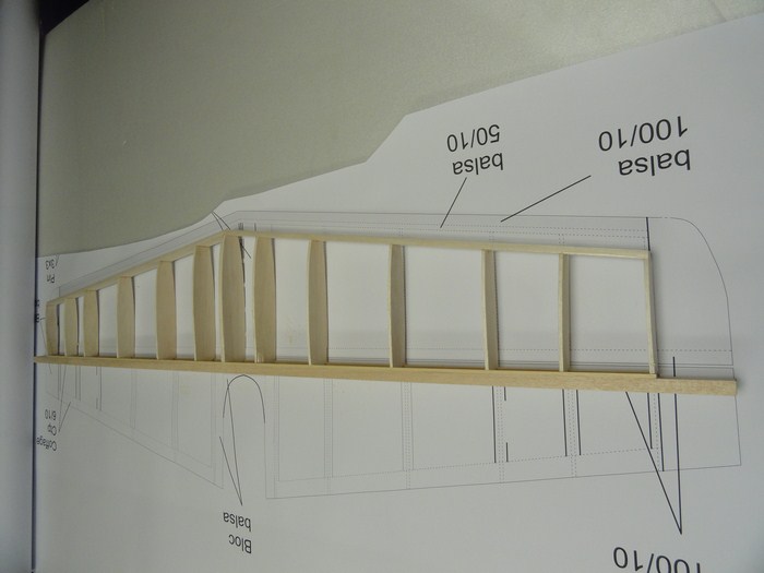 DSC02981 (Copier).JPG