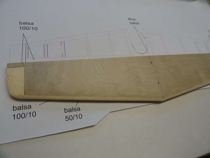 DSC02988 (Copier).JPG