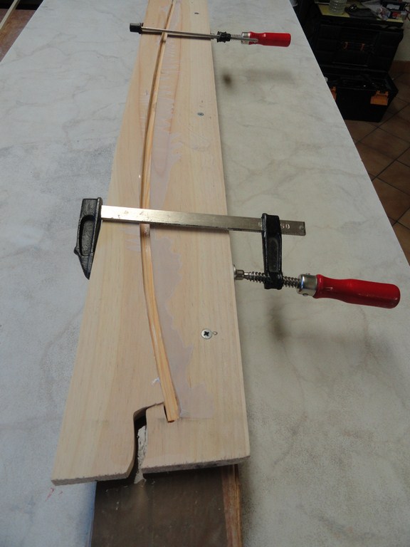 DSC02996 (Copier) - Copie.JPG