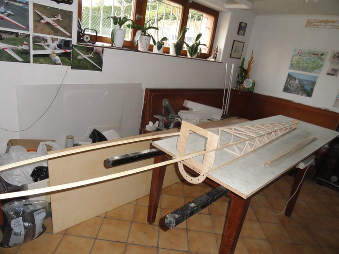 DSC03004 (Copier) - Copie.JPG