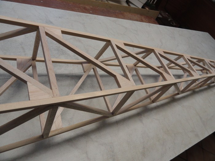 DSC03009 (Copier).JPG