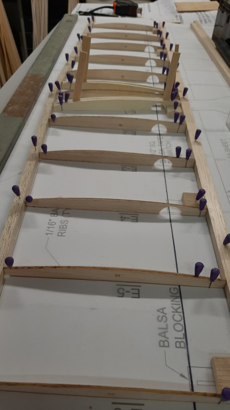 debut construction stab_2.jpg