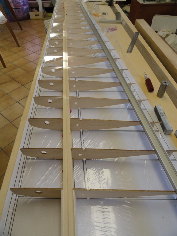 DSC00087 (Copier).JPG