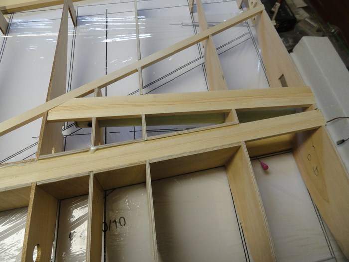 DSC00098 (Copier).JPG