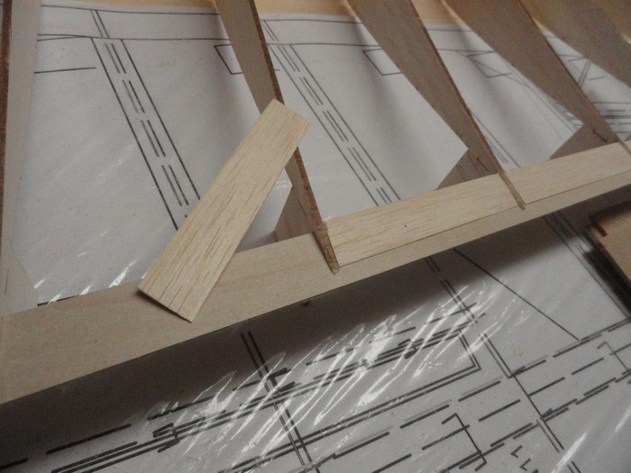 DSC00149 (Copier).JPG