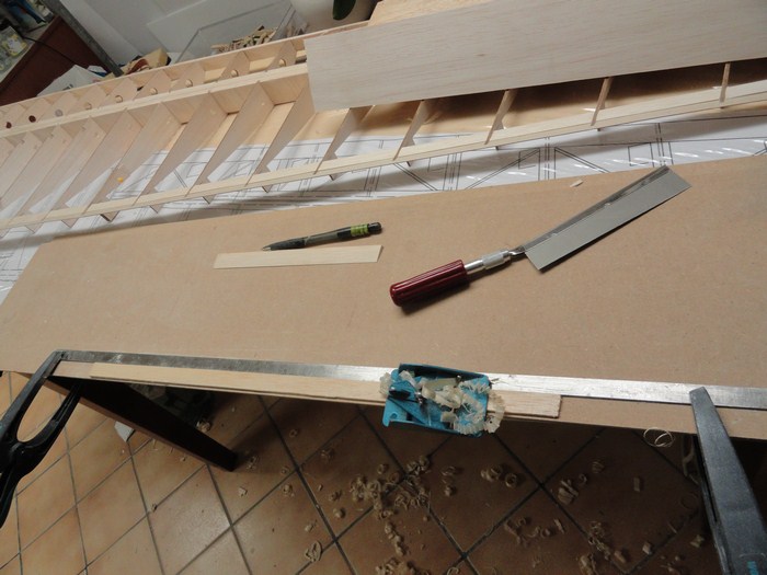 DSC00148 (Copier).JPG