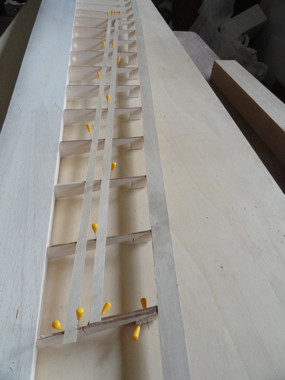 DSC00156 (Copier).JPG