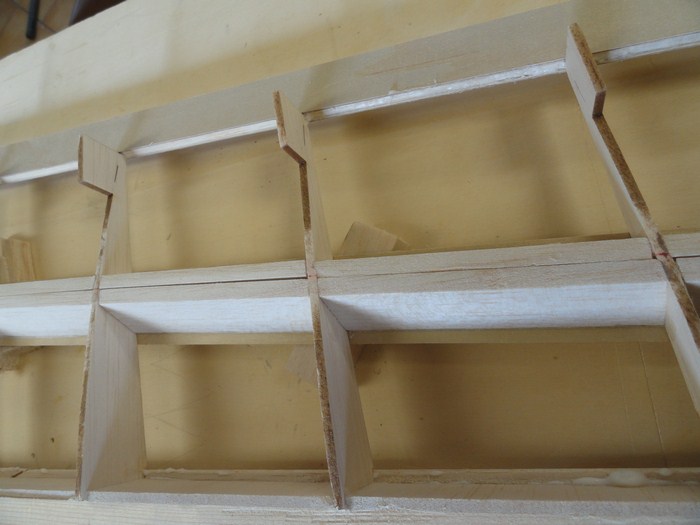 DSC00161 (Copier).JPG